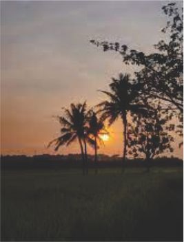 whether image